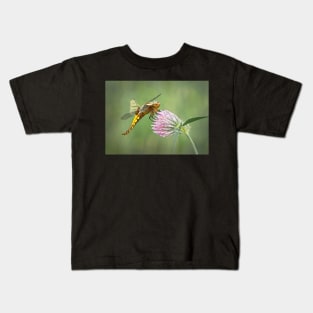 Broad-bodied Chaser female on red clover flower Kids T-Shirt